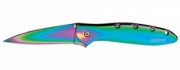 Нож складной Kershaw Rainbow Leek (1660VIB)