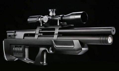 Пневматичеcкая винтовка KalibrGun Cricket Standart PCP (CC - 450) — купить в Украине | Прицел