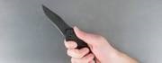 Нож складной Kershaw Black Shallot (1840CKT)