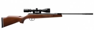 Пневматічеcкая гвинтівка Remington Summit1000 (RW1K77X)
