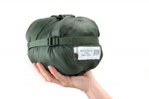 Спальный мешок Snugpak Special Forces 1 (8211654260111)